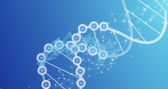 ������Խ�ᡤGEG(�й�)���޹�˾����