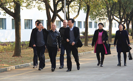 ������Խ�ᡤGEG(�й�)���޹�˾����