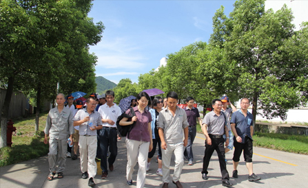 ������Խ�ᡤGEG(�й�)���޹�˾����