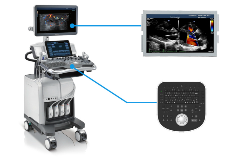 ������Խ�ᡤGEG(�й�)���޹�˾����