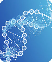 ������Խ�ᡤGEG(�й�)���޹�˾����