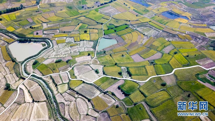 ÒøÓéÓÅÔ½»á¡¤GEG(Öйú)ÓÐÏÞ¹«Ë¾¹ÙÍø