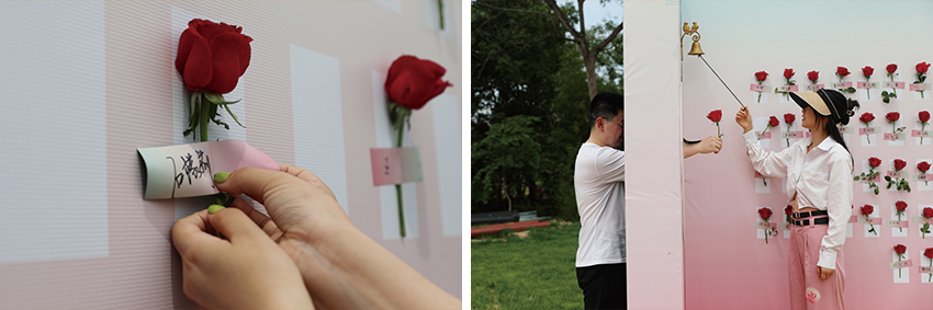 16841130169090865JD2.jpg 850-5.jpg